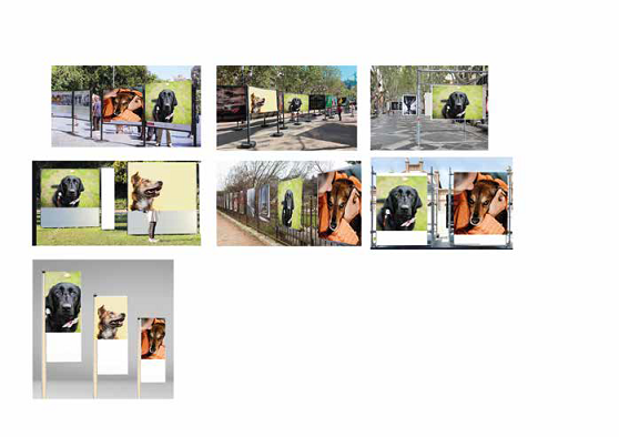 Concurso_fotografico