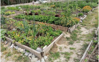 Solicitud de uso de Huertos Urbanos