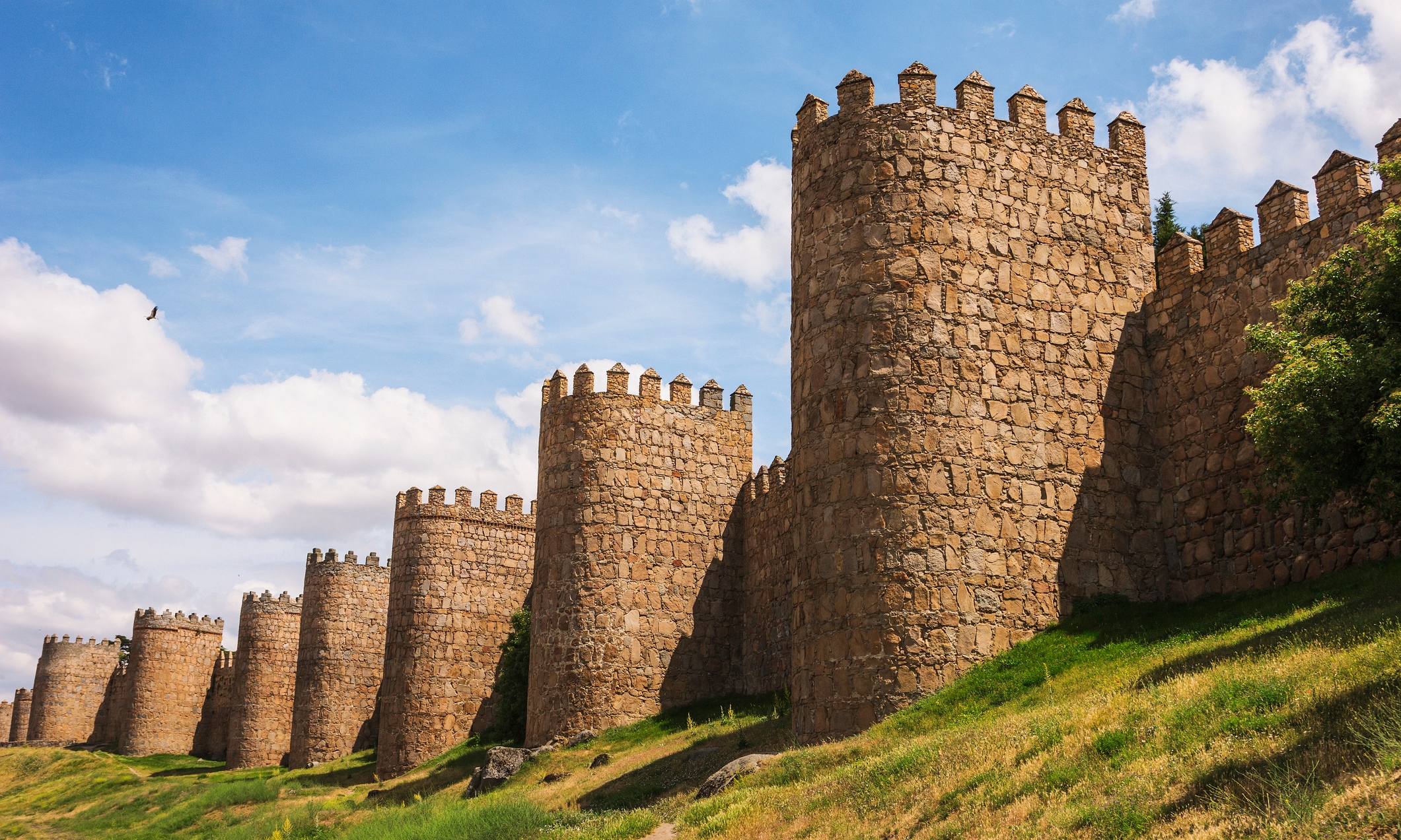 ES_Avila_ES_Header