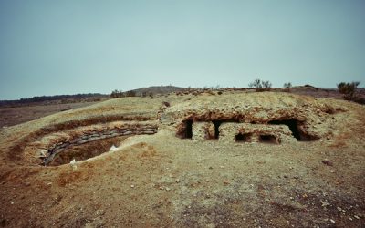 Visita turística Frente del Jarama