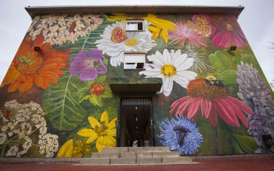 Inscripción 14º edición Concurso de Arte Urbano